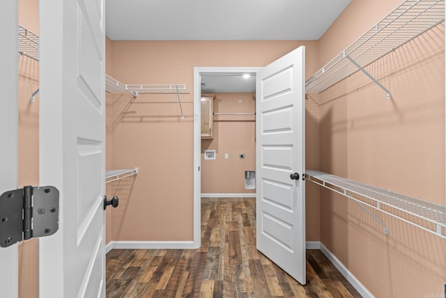 walk in closet with dark wood-type flooring