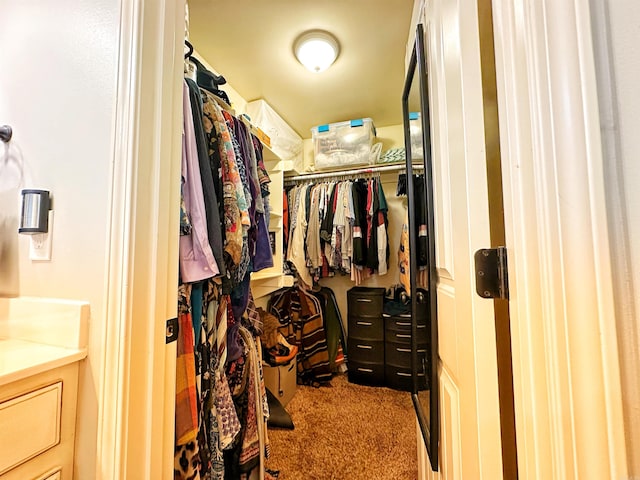 spacious closet with carpet flooring