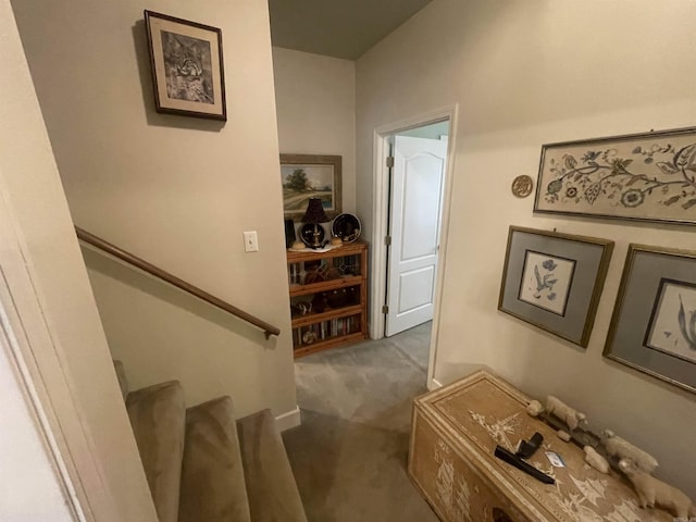 staircase featuring carpet floors