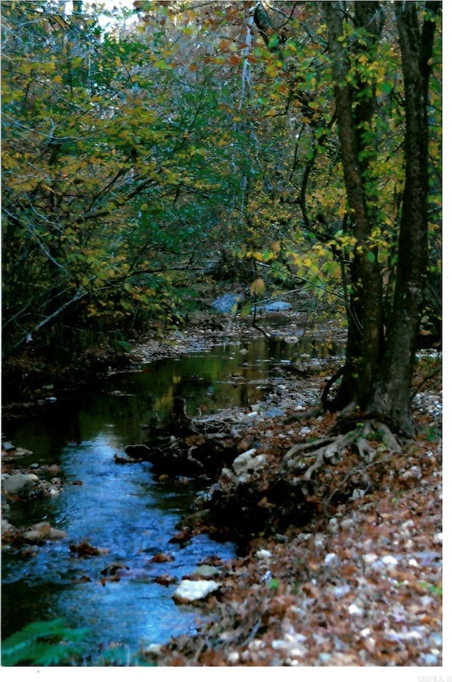 view of nature with a wooded view