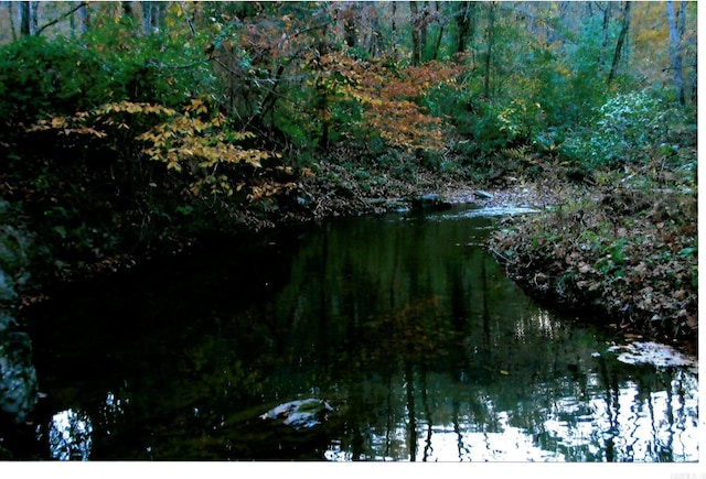 view of nature with a water view and a forest view