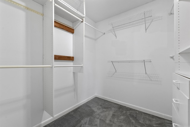 spacious closet with dark colored carpet