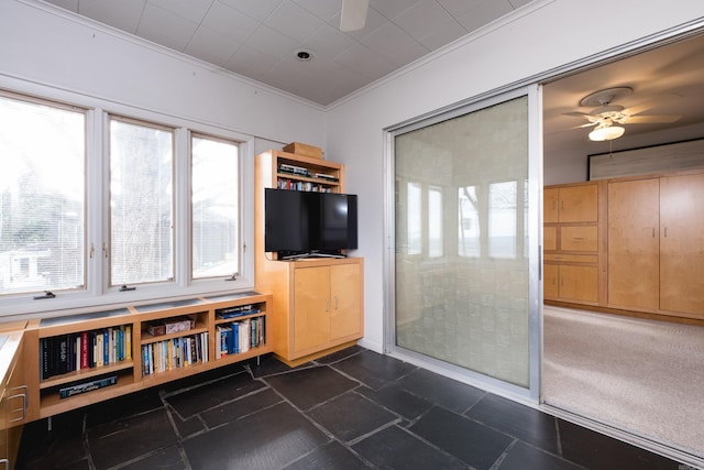 unfurnished living room featuring a ceiling fan, ornamental molding, and stone tile flooring