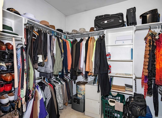 spacious closet with carpet floors