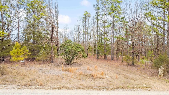 25000 Hub Rd, Paron AR, 72122 land for sale