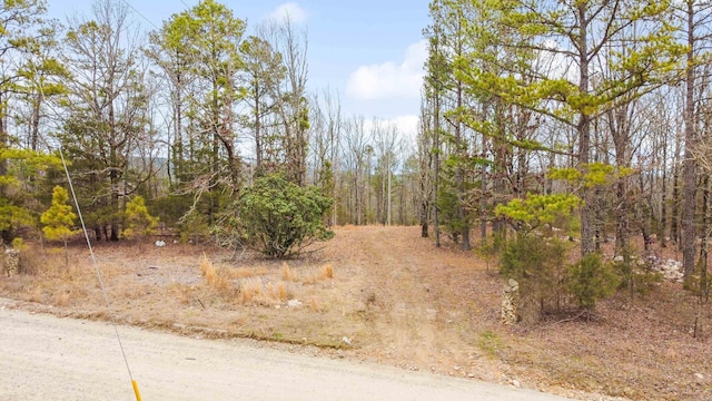 Listing photo 2 for 25000 Hub Rd, Paron AR 72122