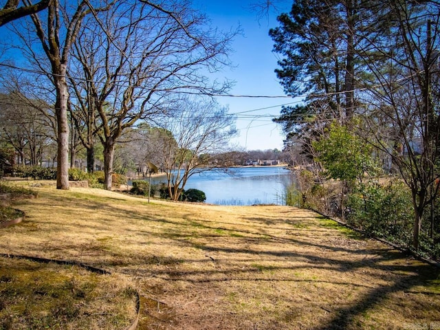 property view of water