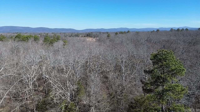 mountain view with a forest view