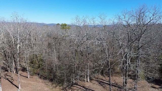 property view of mountains with a view of trees