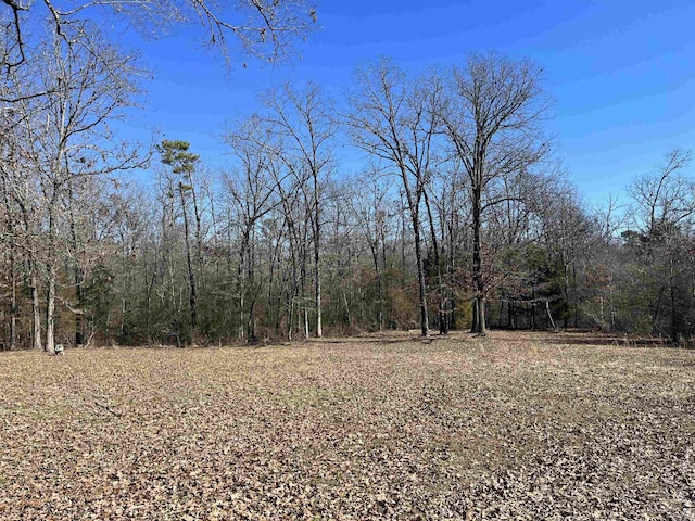 view of yard with a forest view