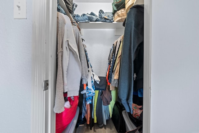 view of walk in closet