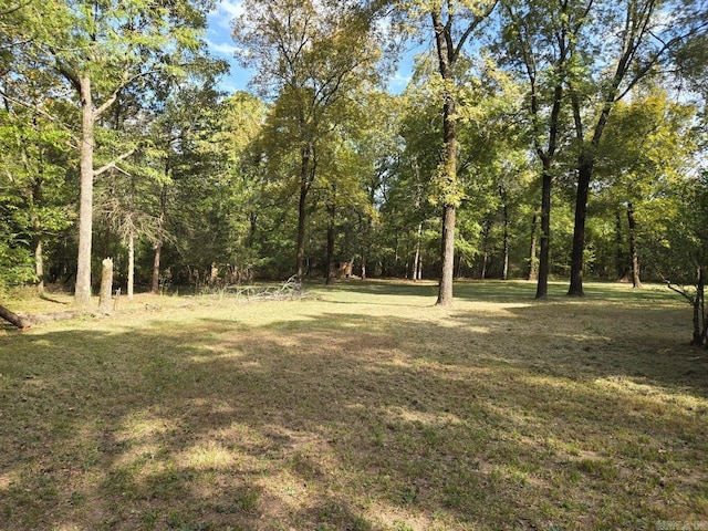 view of yard with a view of trees