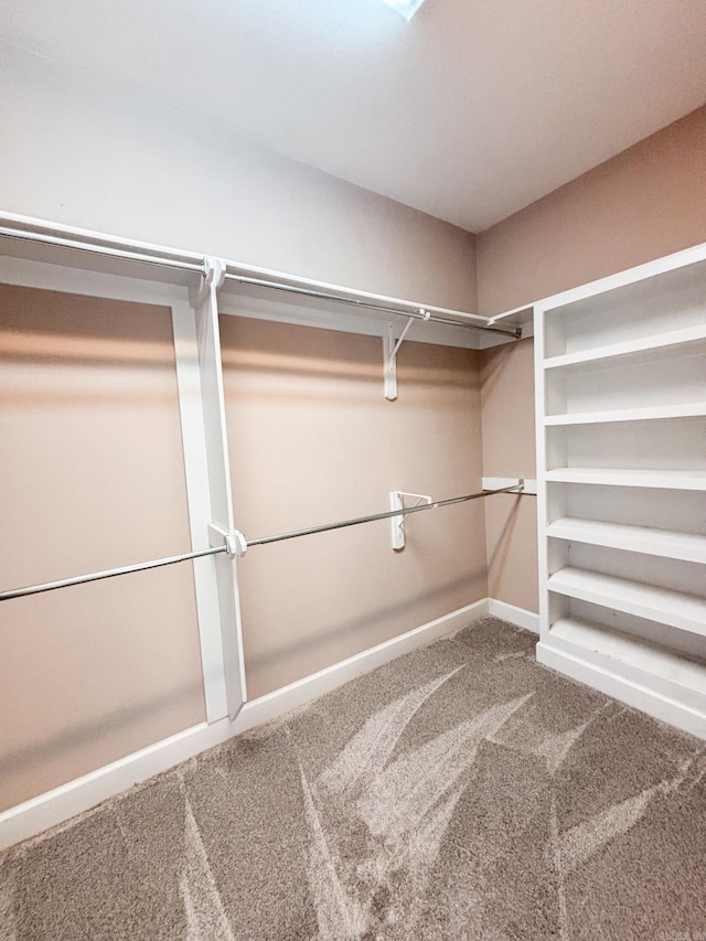 walk in closet with carpet flooring