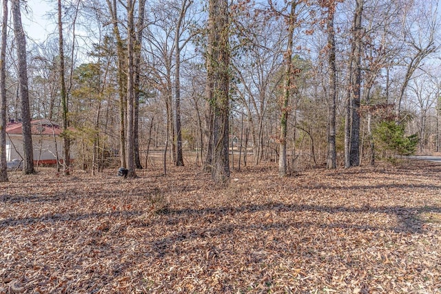 view of local wilderness