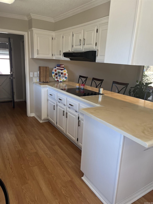 kitchen featuring light wood-style flooring, white cabinetry, under cabinet range hood, and black electric stovetop