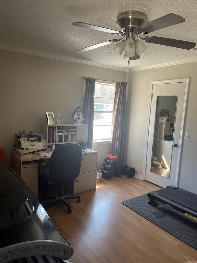 office with a textured ceiling, ornamental molding, and wood finished floors