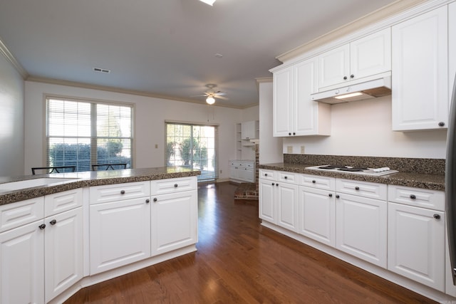 kitchen with under cabinet range hood, dark wood-type flooring, visible vents, white electric cooktop, and crown molding