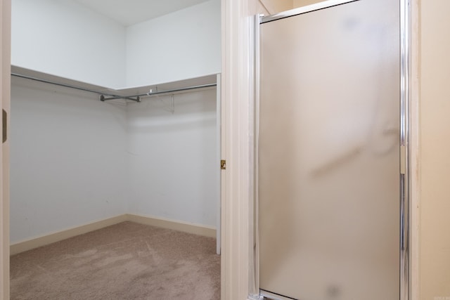 walk in closet featuring carpet floors