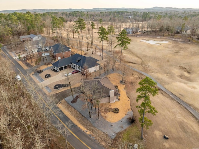 drone / aerial view featuring a mountain view and a view of trees