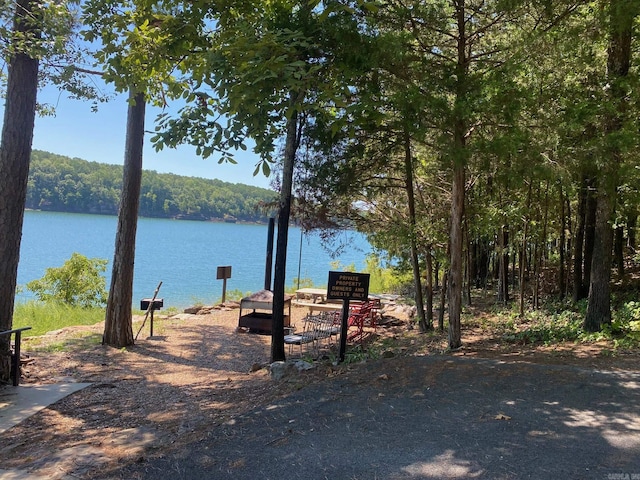 property view of water featuring a view of trees