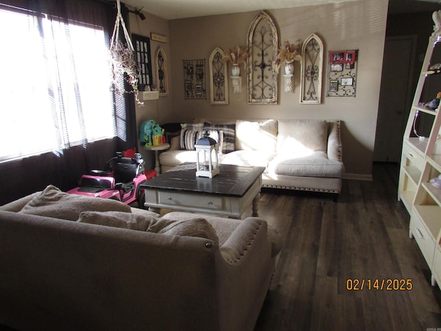 living room featuring wood finished floors