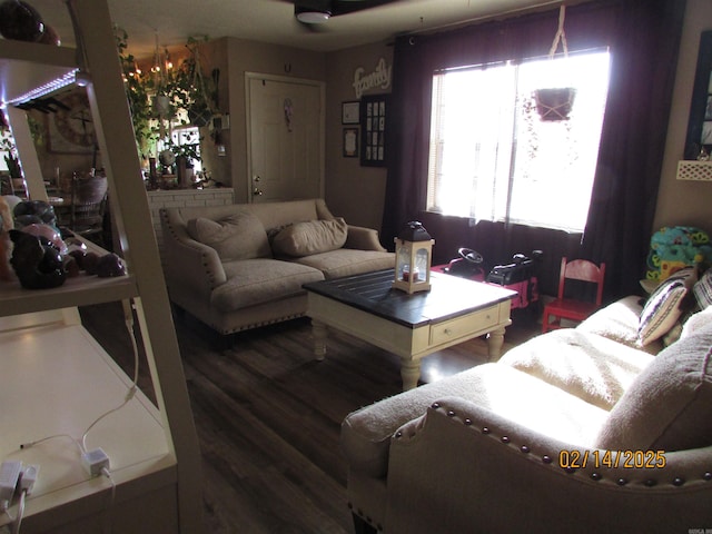 living room featuring wood finished floors