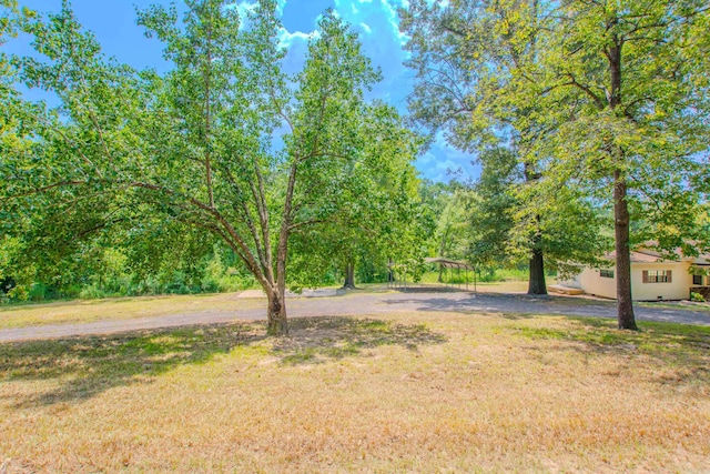 view of yard featuring driveway