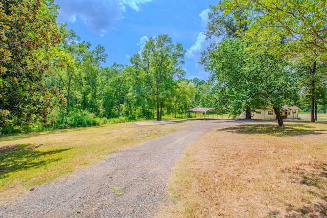 view of street with gravel driveway