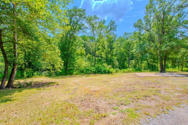 view of yard with a view of trees