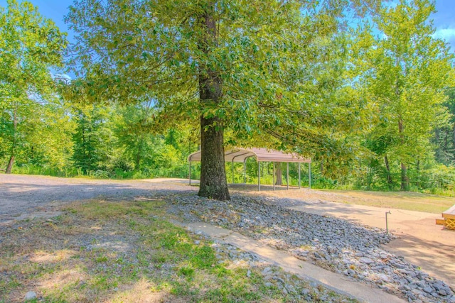 view of yard featuring driveway and a detached carport