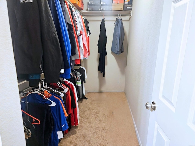 spacious closet featuring carpet floors