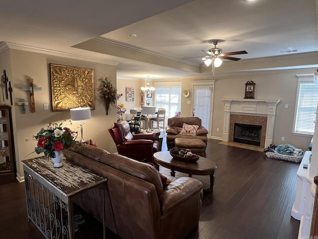 living room featuring a healthy amount of sunlight, crown molding, a raised ceiling, and dark wood-style flooring