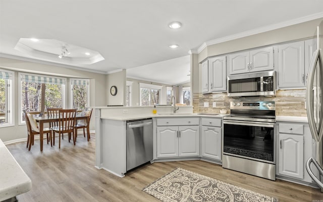 kitchen featuring a peninsula, a sink, a healthy amount of sunlight, appliances with stainless steel finishes, and a raised ceiling