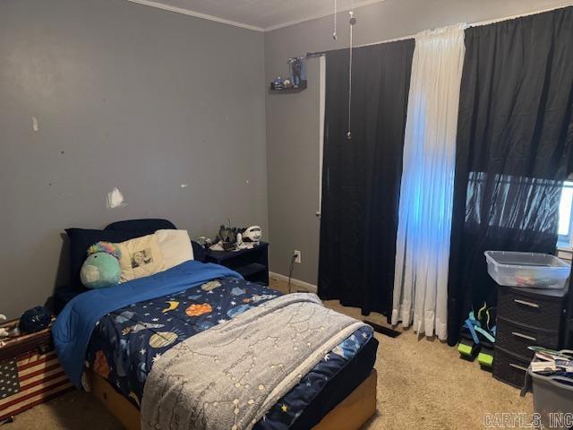 bedroom featuring ornamental molding and carpet flooring