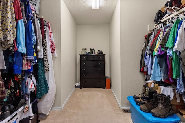 spacious closet featuring carpet