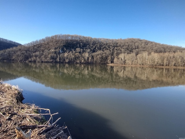 water view with a forest view