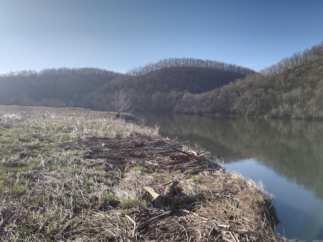 property view of water with a mountain view and a view of trees