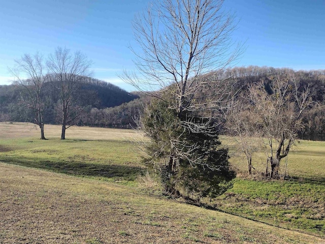 view of mountain feature featuring a forest view