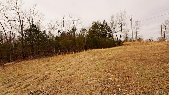 LOT32 Serenity Ct, Gepp AR, 72538 land for sale