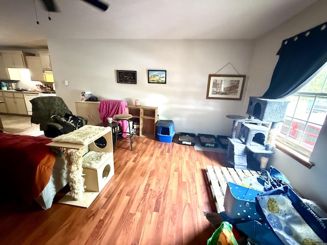 504-506514-516 S Pool, Austin, AR 72023 - living area with ceiling fan and light wood-style floors