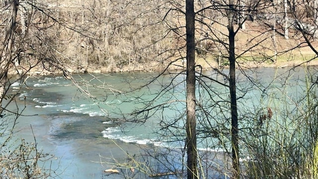 view of water feature