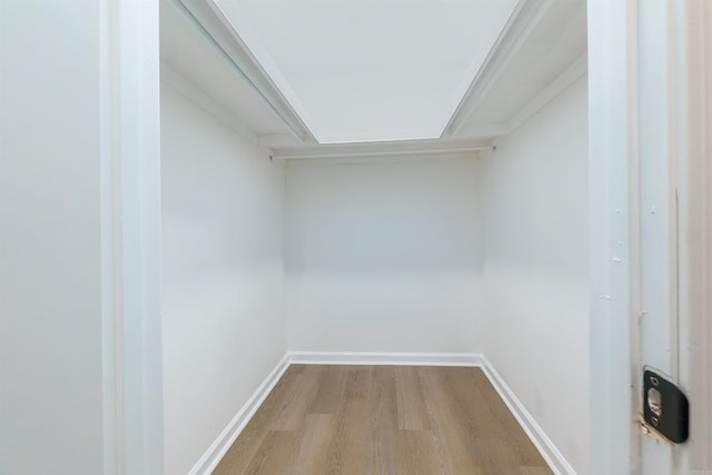 walk in closet featuring wood finished floors