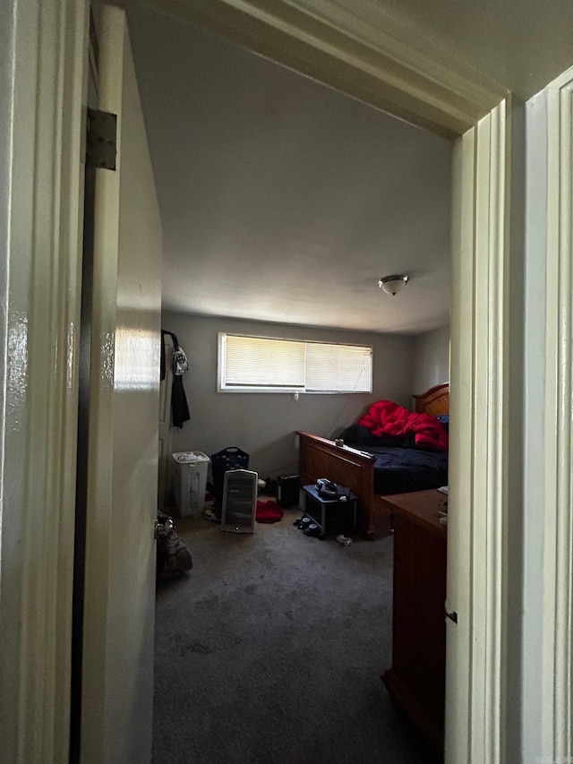 bedroom featuring carpet flooring