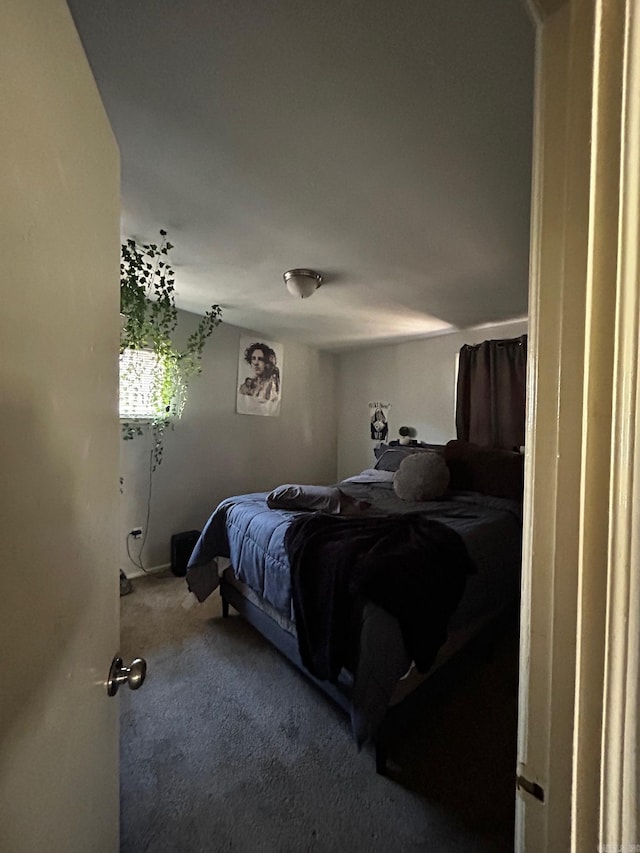 bedroom featuring carpet flooring