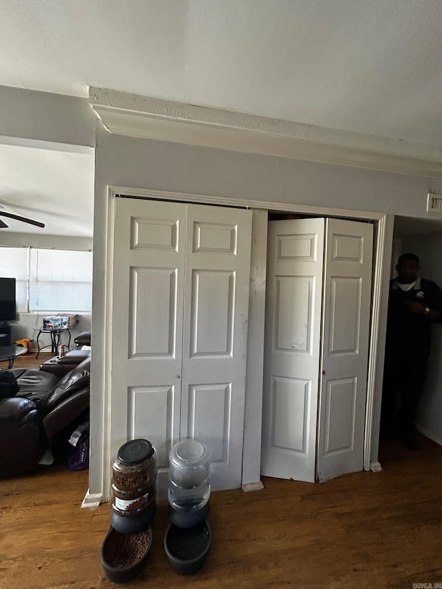 details with ceiling fan and wood finished floors