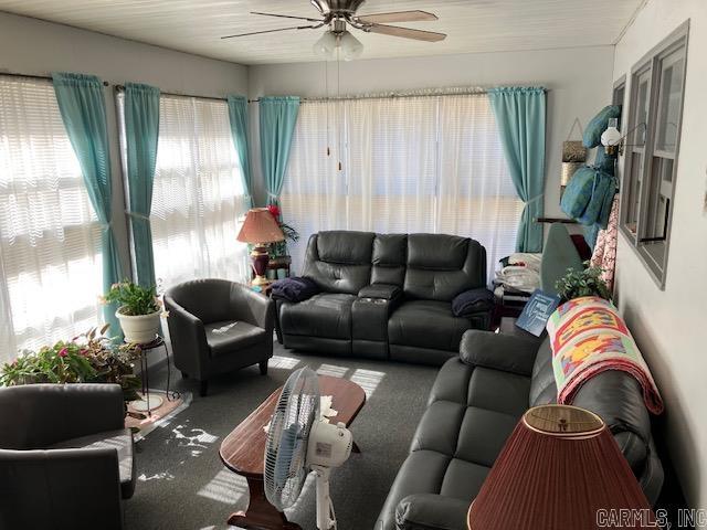 living room with a healthy amount of sunlight, ceiling fan, and carpet flooring