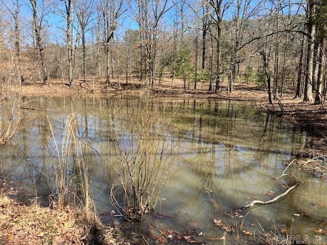 property view of water with a forest view