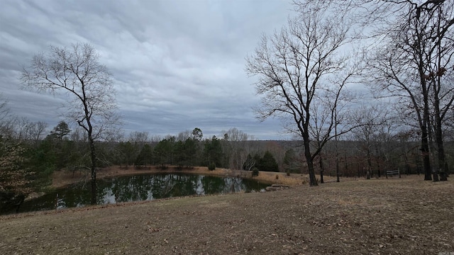 property view of water with a view of trees