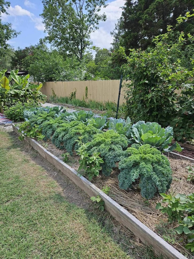 view of yard with fence and a garden