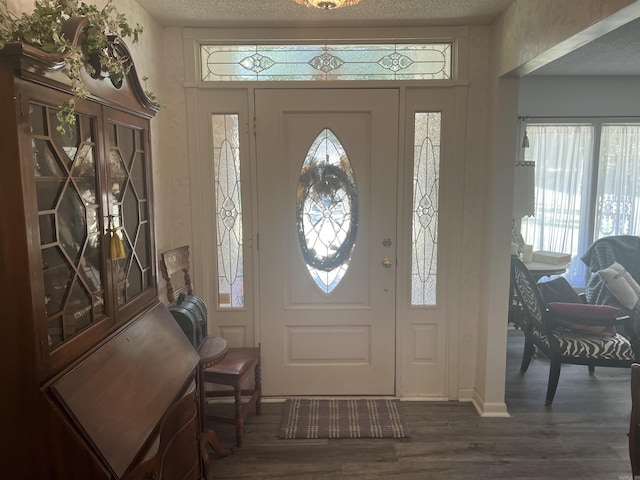 entrance foyer featuring a textured ceiling, wood finished floors, and a wealth of natural light